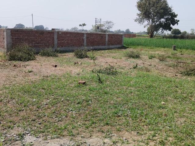 Land for sale in Bihar