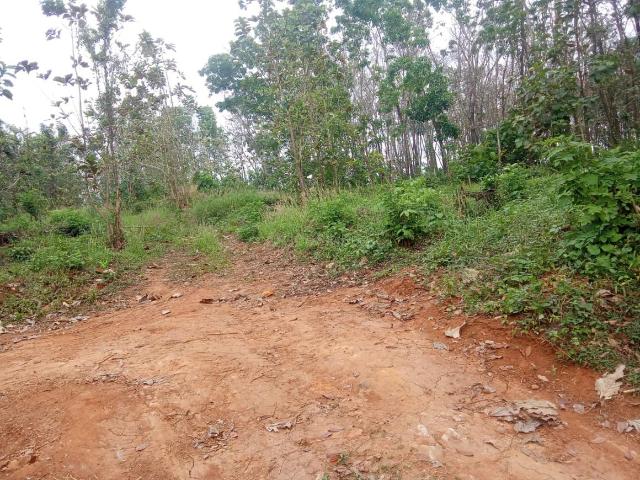 Land for sale in Chittur, Kerala
