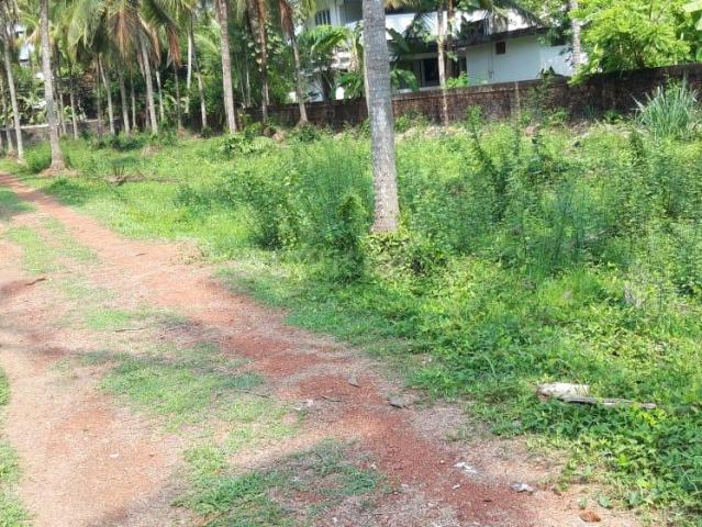 Land for sale in Chittur, Kerala