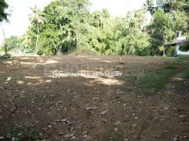 Land for sale in Chittur, Kerala