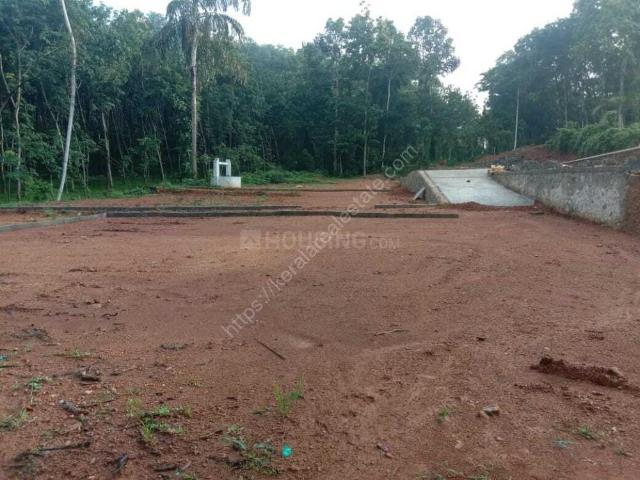 Land for sale in Chittur, Kerala
