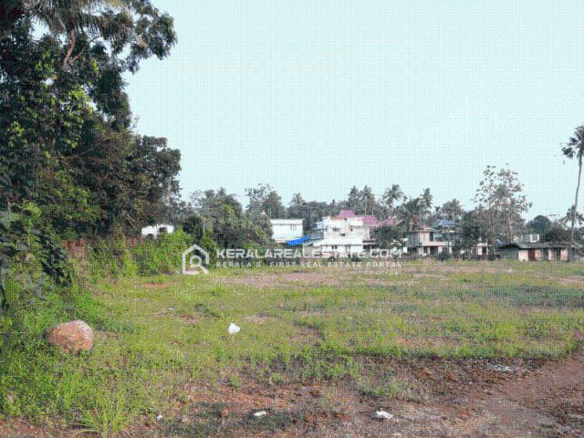 Land for sale in Chittur, Kerala