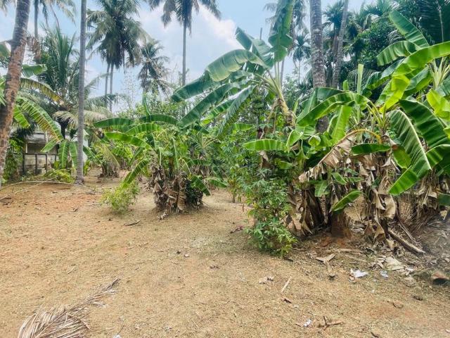 Land for sale in Thrissur, Kerala