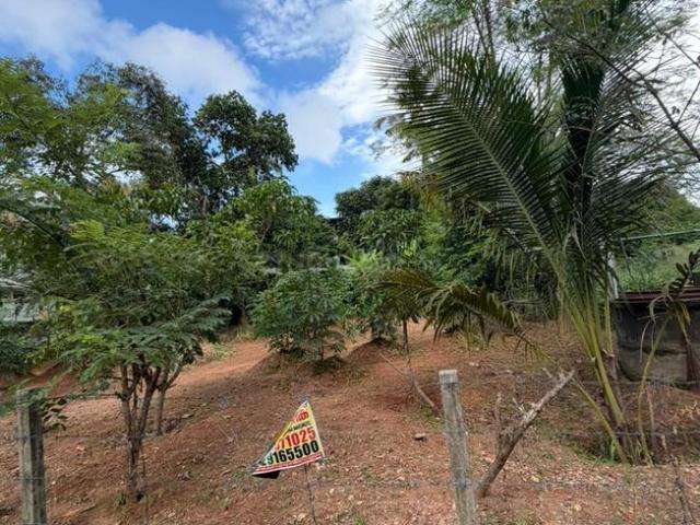 Land for sale in Thrissur, Kerala