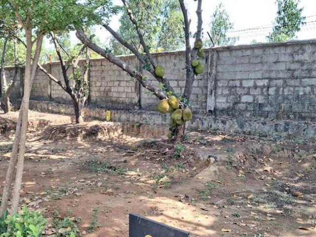 Land for sale in Tamil Nadu