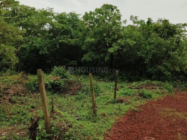 Land for sale in Ambarim, Goa