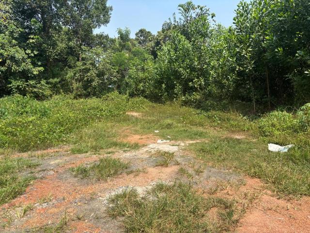 Land for sale in Chottanikkara, Kurikad