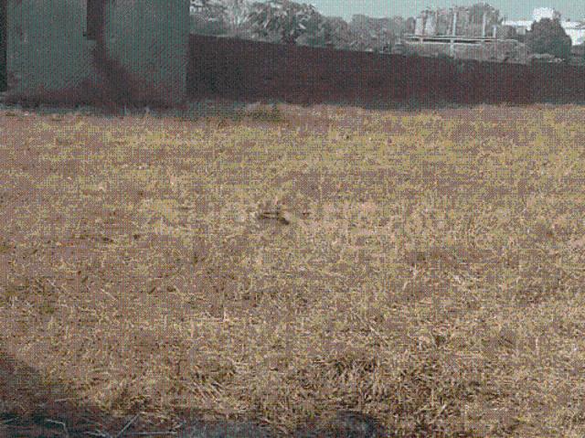 Land for sale in Kanke, Jharkhand