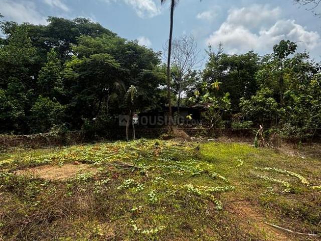 Land for sale in Goa