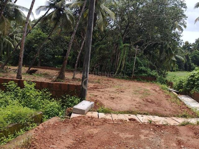 Land for sale in Goa