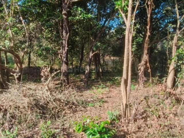 Land for sale in Colvale, Goa