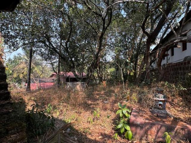 Land for sale in Colvale, Goa