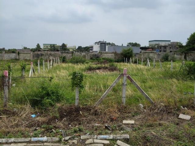 Land for sale in Madya