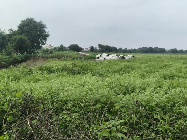 Land for sale in Madya