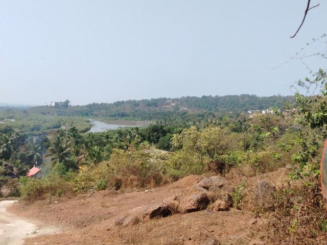 Land for sale in Curca, Goa