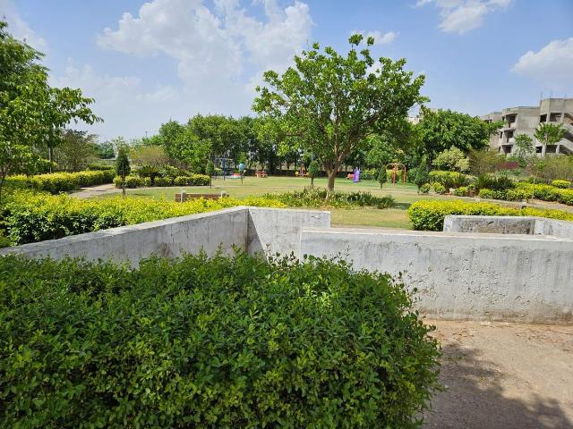 Land for sale in Singhpur, Tatarpur