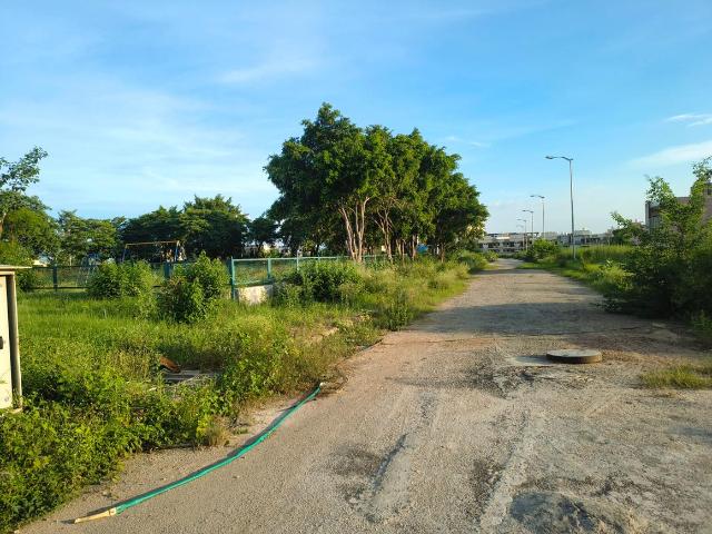 Land for sale in Singhpur, Tatarpur