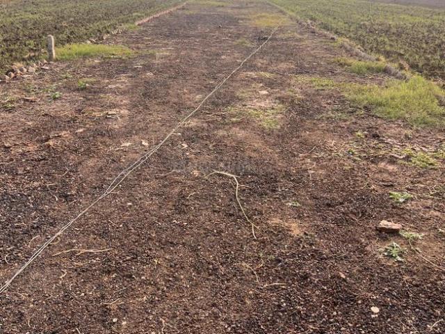 Land for sale in Bihar