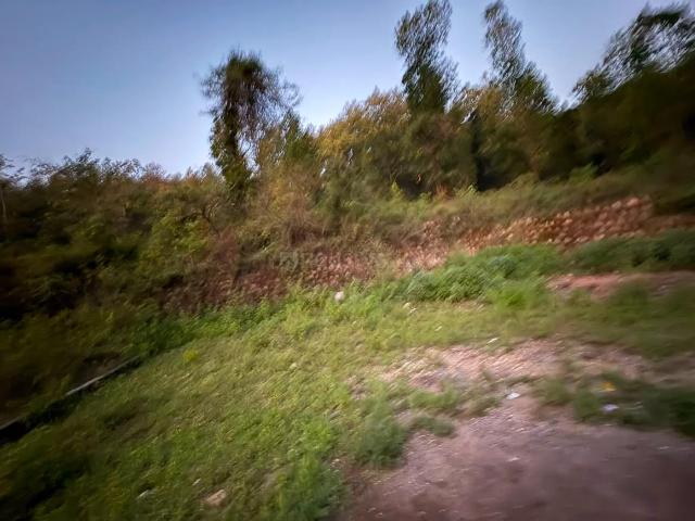 Land for sale in Kedarpur, Uttarakhand
