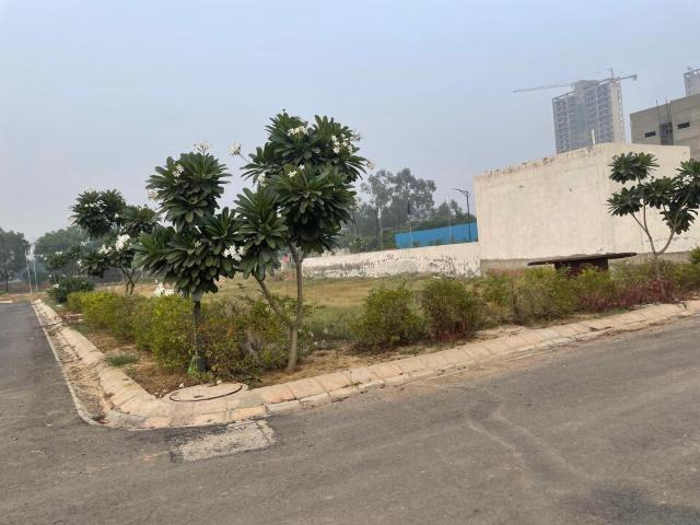 Land for sale in Dankaur, Arunachal Pradesh