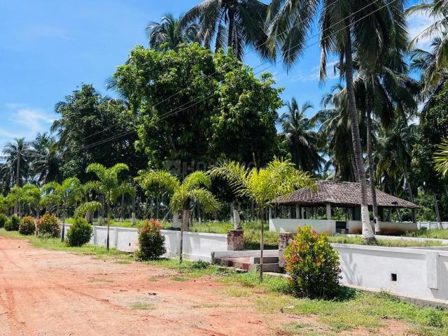 Land for sale in Vizianagaram, Andhra Pradesh