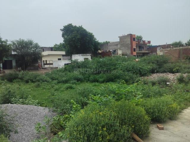 Land for sale in Tora, Arunachal Pradesh