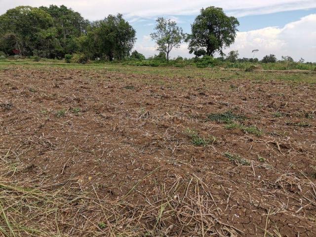 Land for sale in Poona, National Capital Territory Of Delhi