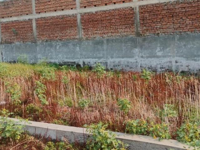 Land for sale in Bihar