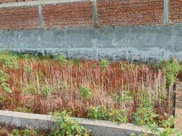 Land for sale in Bihar