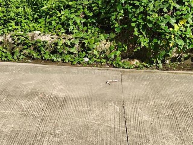 Land for sale in Kedarpur, Uttarakhand