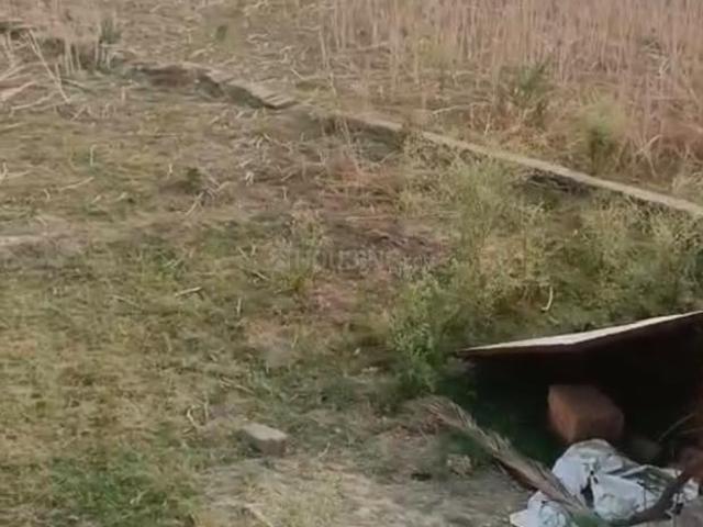 Land for sale in Ayodhya, Arunachal Pradesh