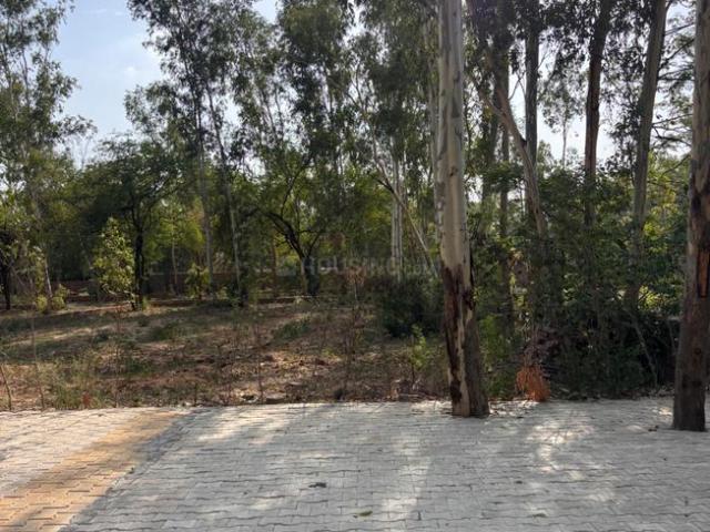 Land for sale in South Delhi, Deri