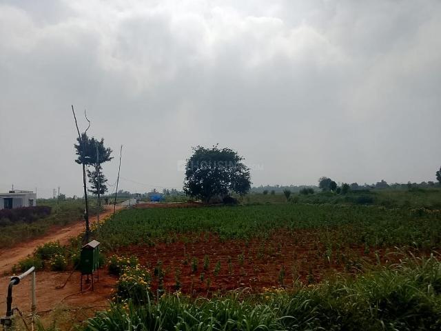 Land for sale in Karnataka