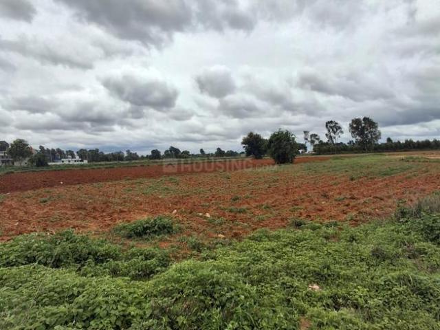 Land for sale in Karnataka