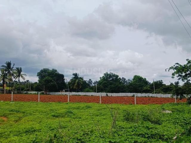 Land for sale in Devanahalli - Bangalore, Karnataka