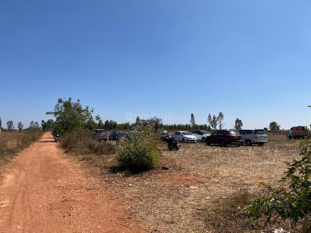 Land for sale in Devanahalli - Bangalore, Karnataka