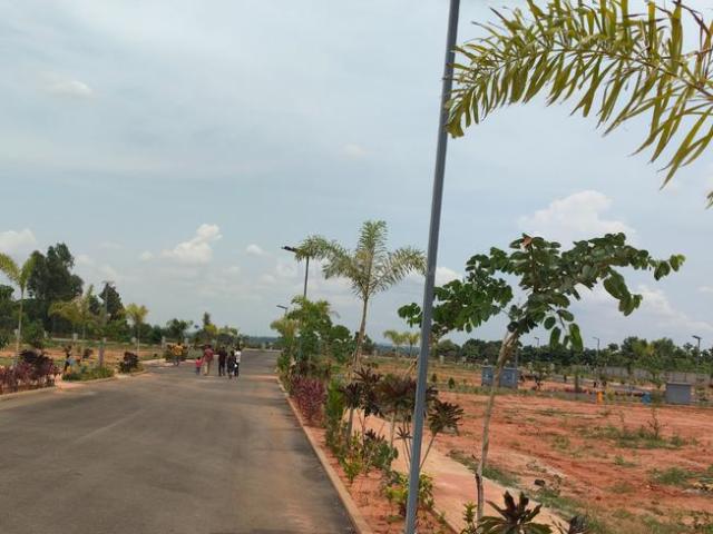 Land for sale in Devanahalli - Bangalore, Karnataka