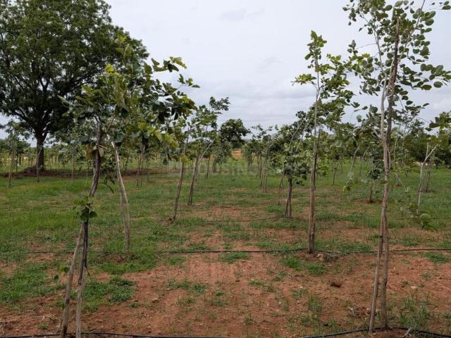 Land for sale in Karnataka