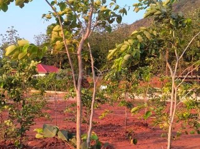 Land for sale in Devarapalle, Andhra Pradesh