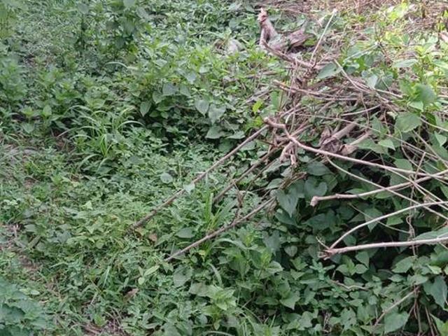 Land for sale in Dhanbad, Jharkhand