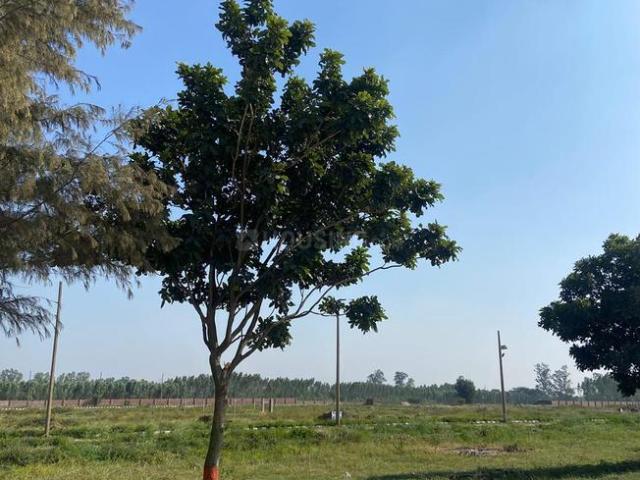 Land for sale in Zirakpur, Punjab