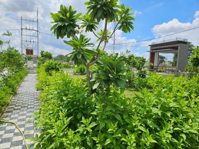 Land for sale in Madya