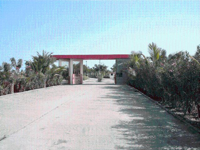 Land for sale in Gujarat