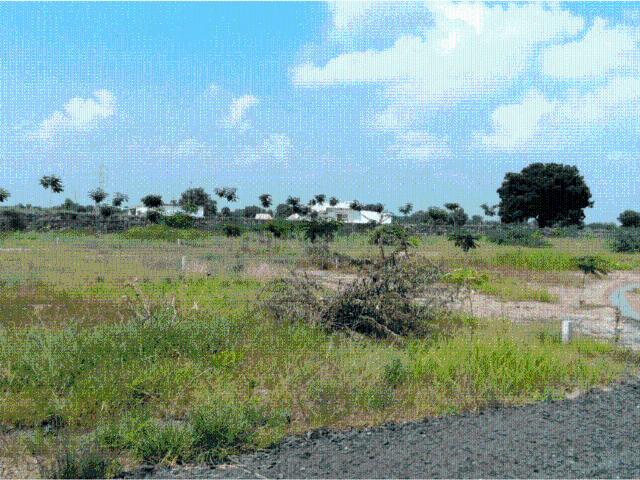 Land for sale in Gujarat