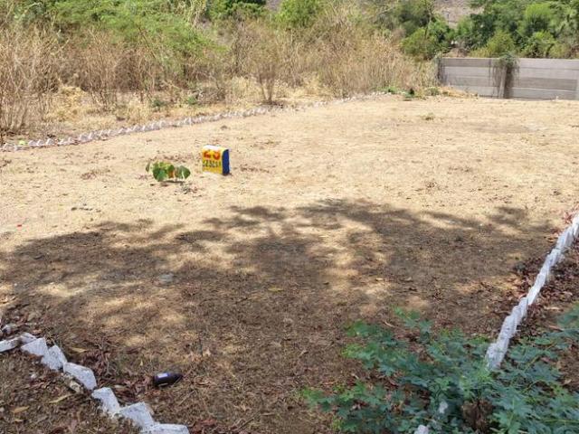 Land for sale in Udaipur, Rajasthan