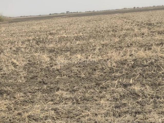 Land for sale in Gujarat