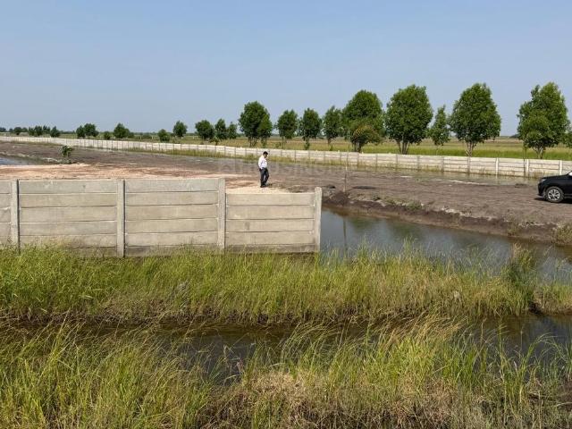 Land for sale in Dholera, Ahmedabad
