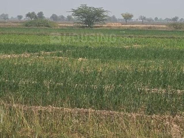 Land for sale in Dholka, Gujarat
