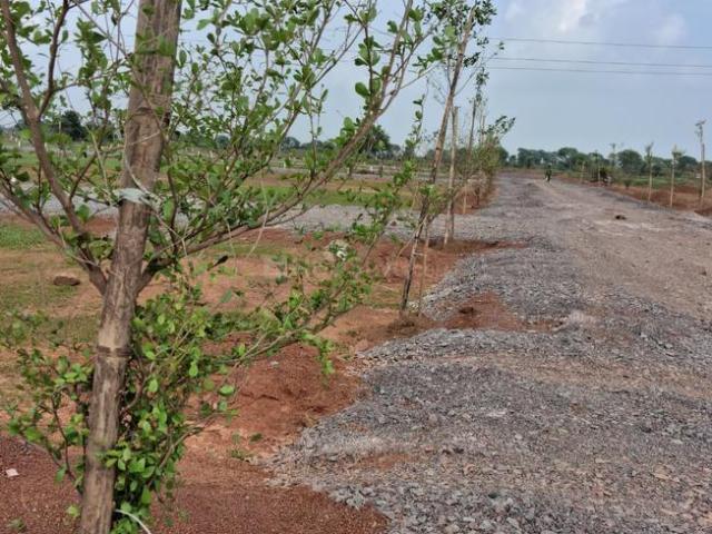 Land for sale in Chhattisgarh