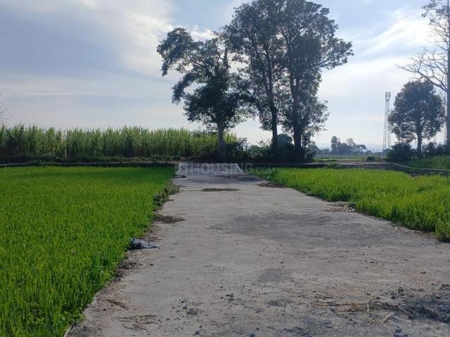 Land for sale in Doiwala, Uttarakhand